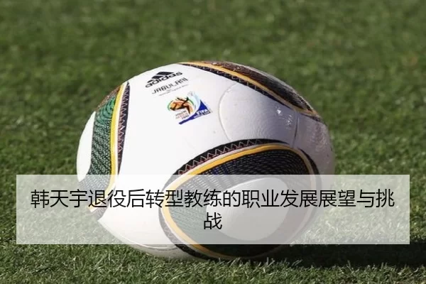 韩天宇退役后转型教练的职业发展展望与挑战