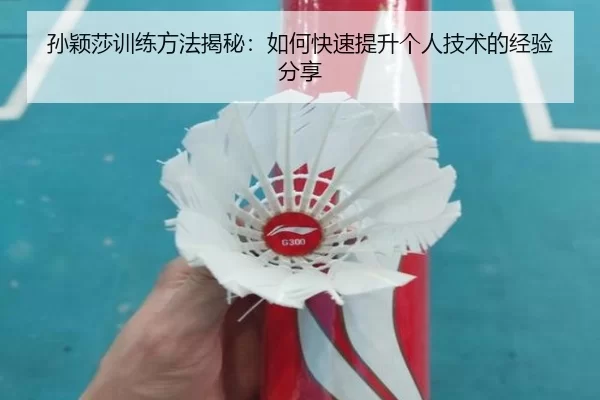 孙颖莎训练方法揭秘：如何快速提升个人技术的经验分享